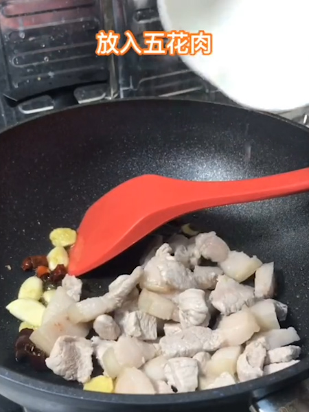 白菜猪肉炖粉条的做法步骤：3