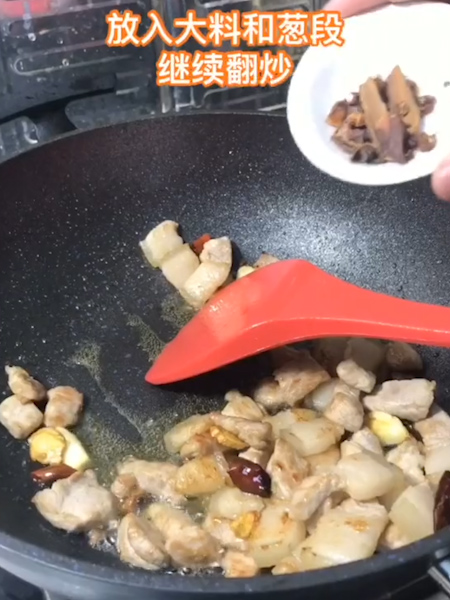 白菜猪肉炖粉条的做法步骤：4
