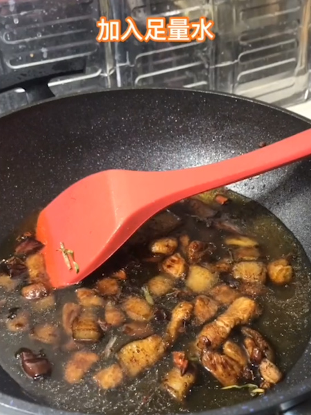 白菜猪肉炖粉条的做法步骤：5