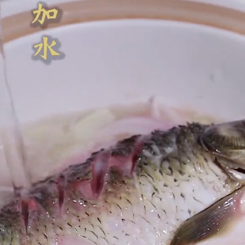 #砂锅鲫鱼的做法图解5