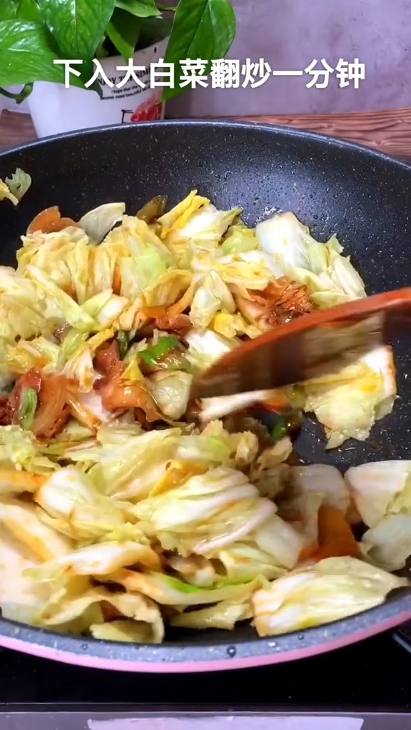 大白菜炖粉条的做法步骤：4