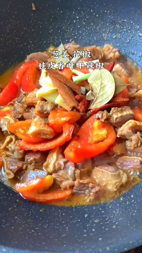 番茄炖牛腩的做法步骤:6