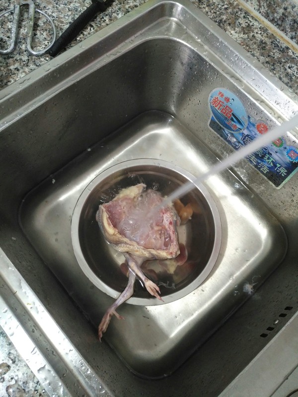 红枣枸杞乳鸽汤的做法步骤:2