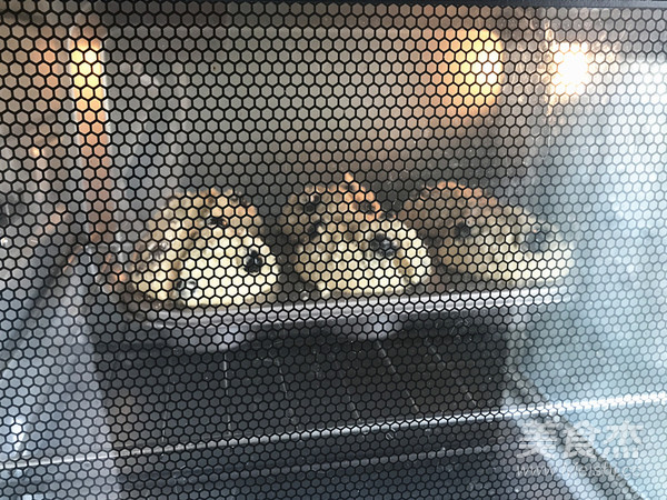 金顶蓝莓麦芬的做法步骤:12