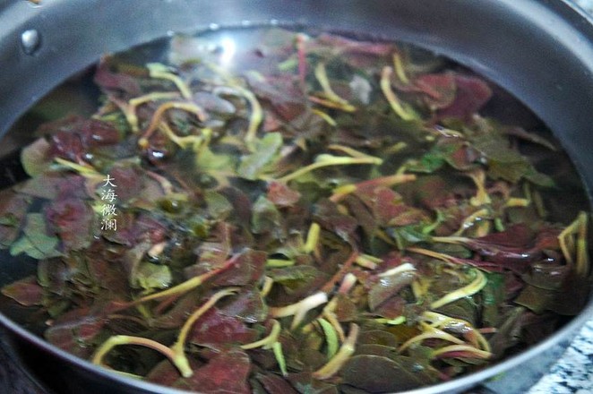 凉拌鱼腥草的做法步骤:4