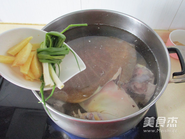 清炖甲鱼的做法步骤:5