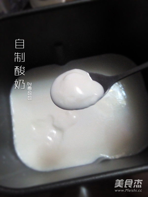 原味酸奶（面包机）的做法步骤：6