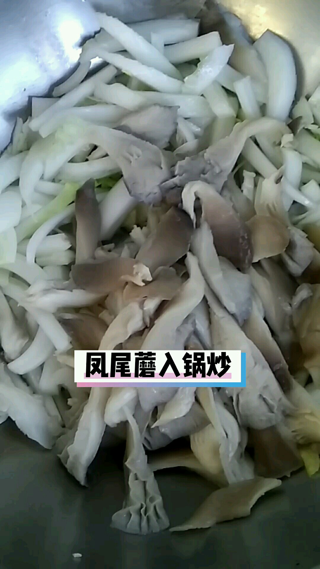 凤尾蘑炒白菜的做法步骤：4