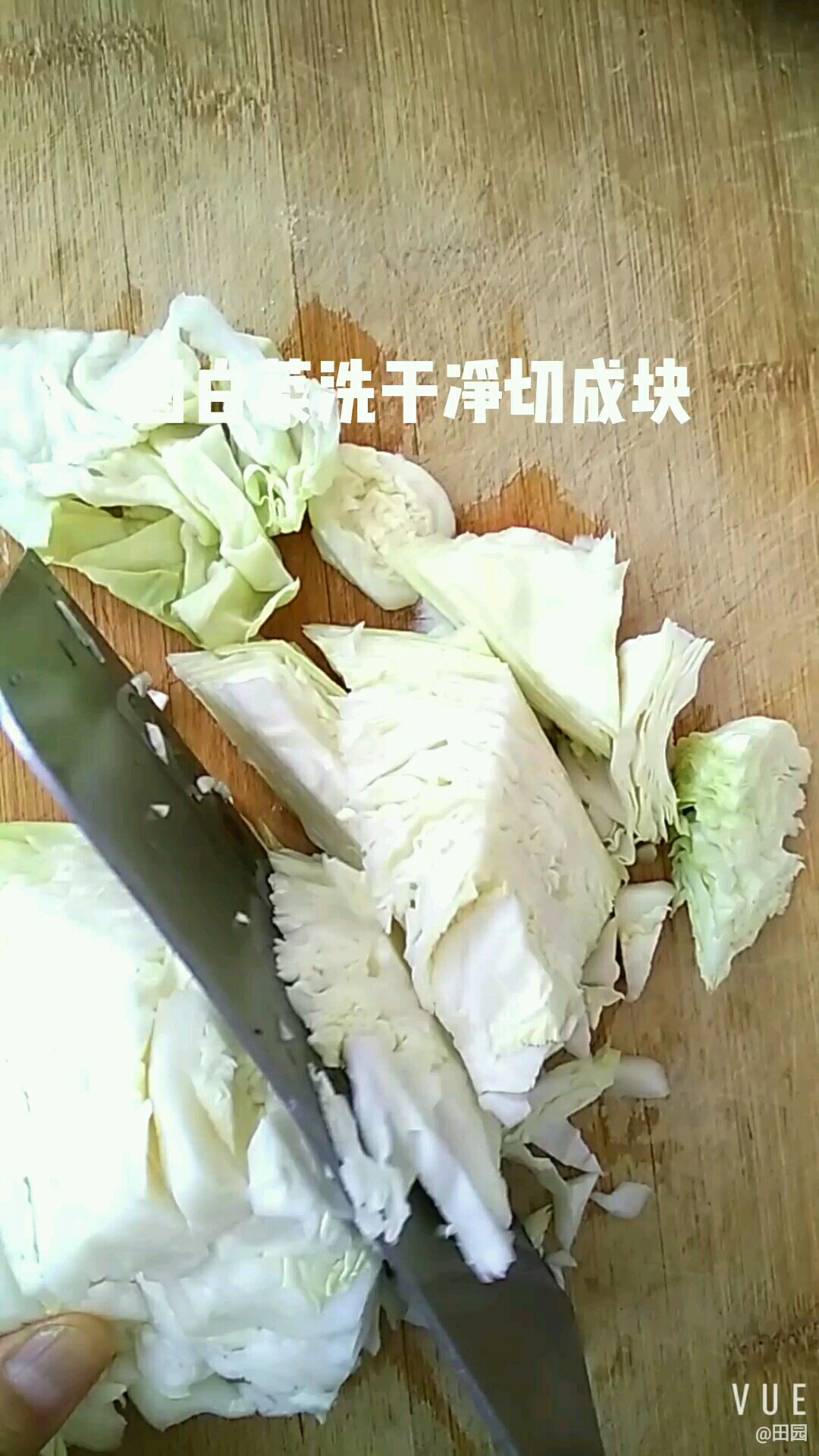 香菇炒圆白菜的做法步骤：2