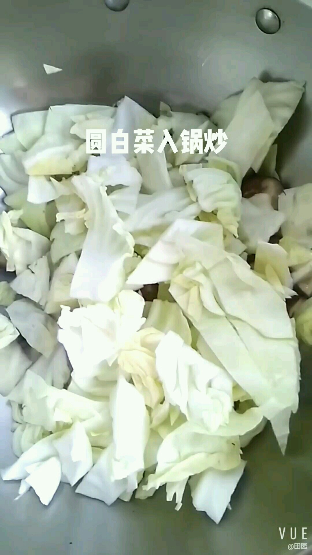 香菇炒圆白菜的做法步骤：4