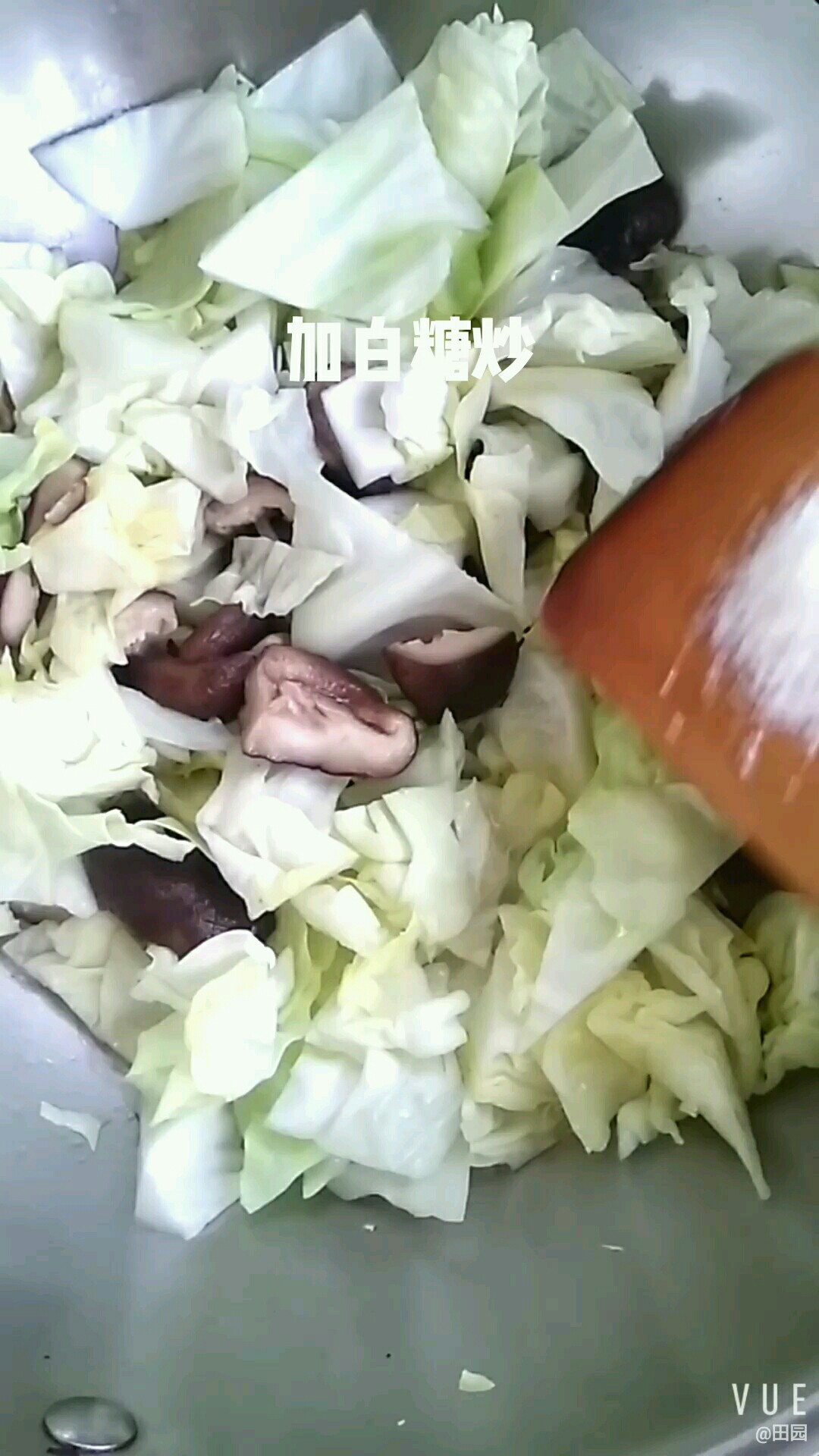 香菇炒圆白菜的做法步骤：5