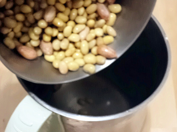 核桃仁花生仁豆浆的做法步骤:4