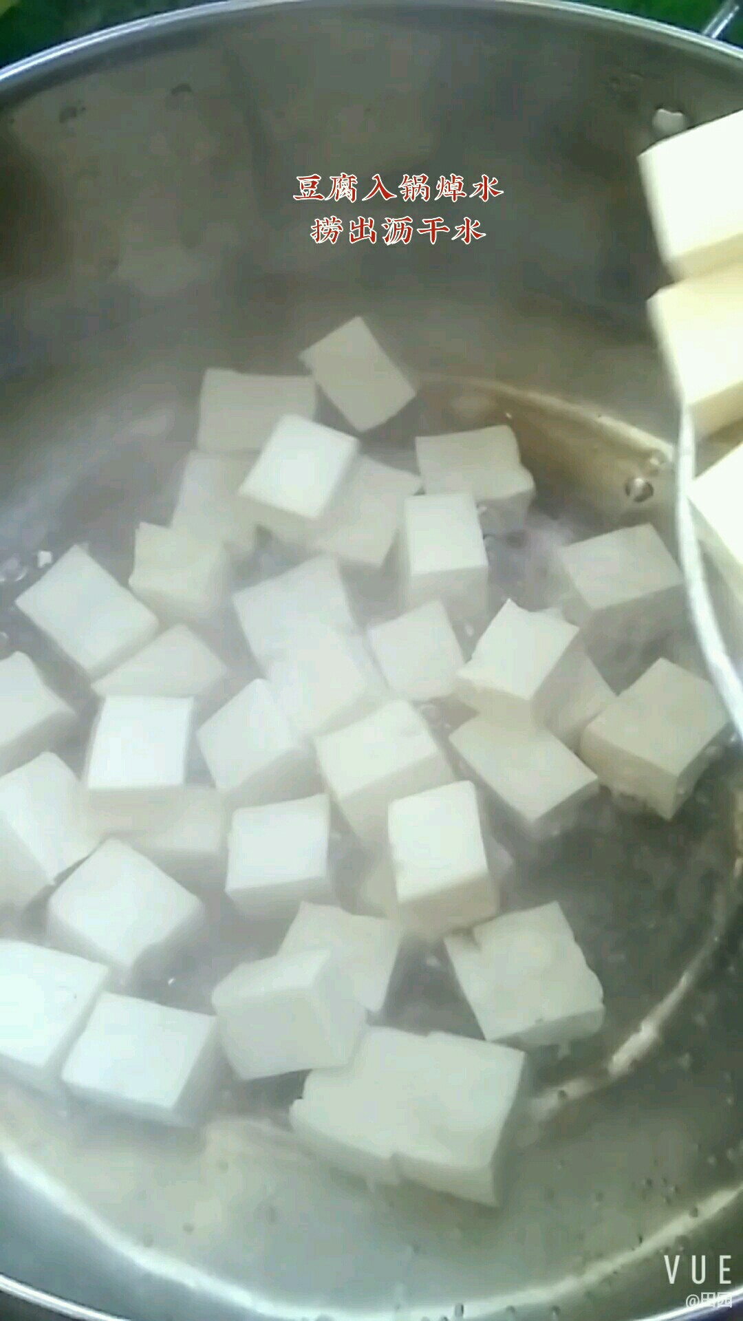 新鲜美味又营养 源自豆腐鹅蛋黄的做法步骤:4
