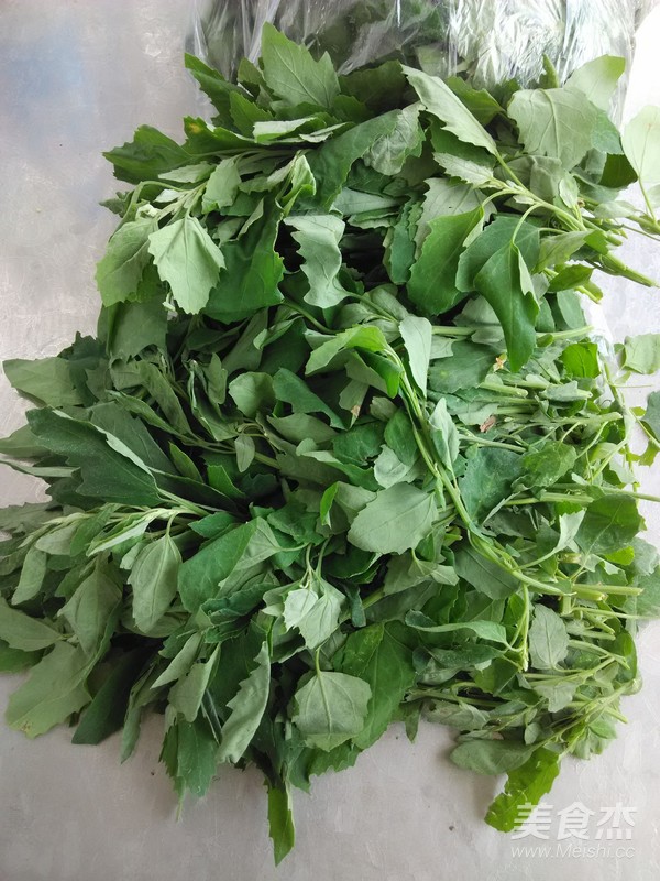 灰灰菜肉包子的做法步骤:2