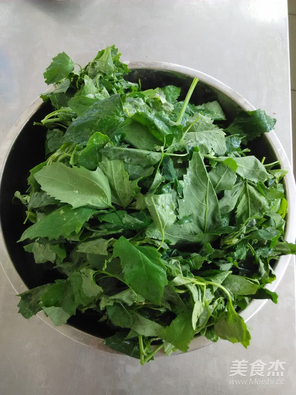 灰灰菜肉包子的做法步骤:3