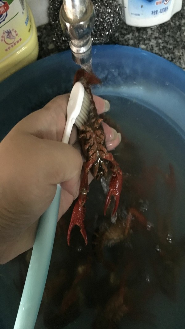 麻辣小龙虾的做法步骤:4