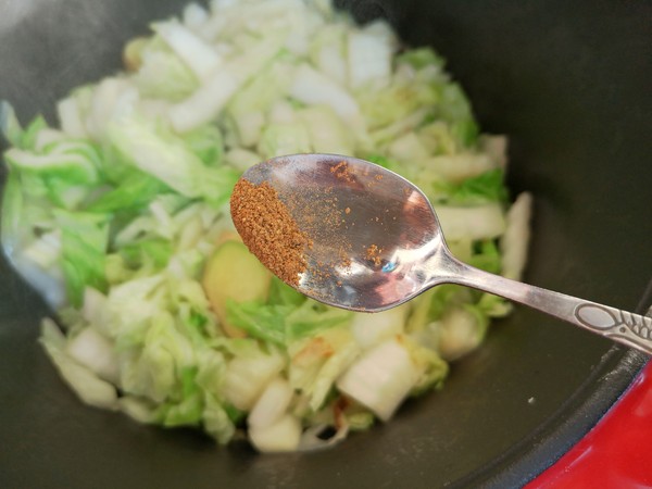虾仁白菜炖粉条的做法步骤:6