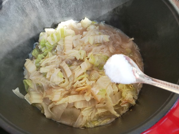 虾仁白菜炖粉条的做法步骤:10