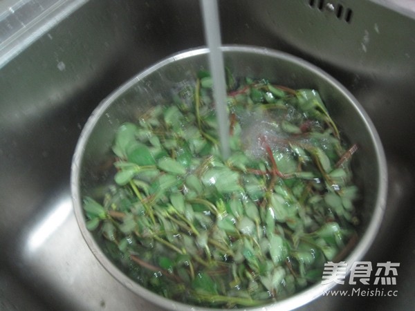 凉拌马齿苋的做法步骤：1