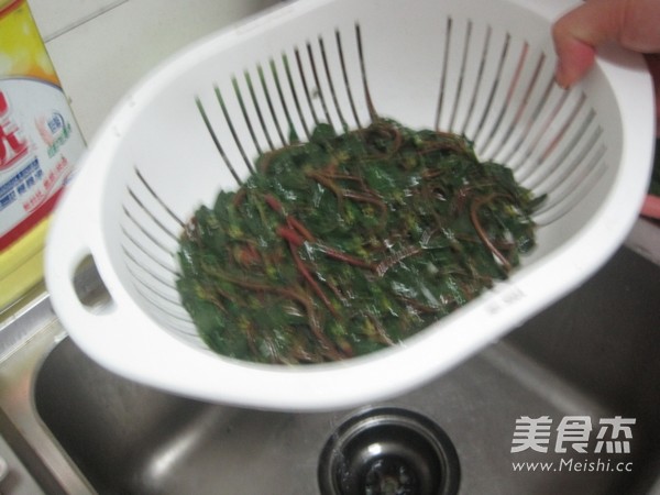 凉拌马齿苋的做法步骤:6