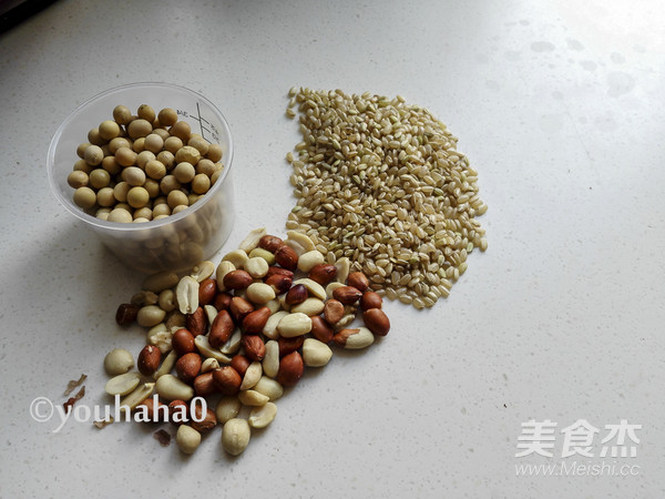 糙米花生豆浆的做法步骤：1