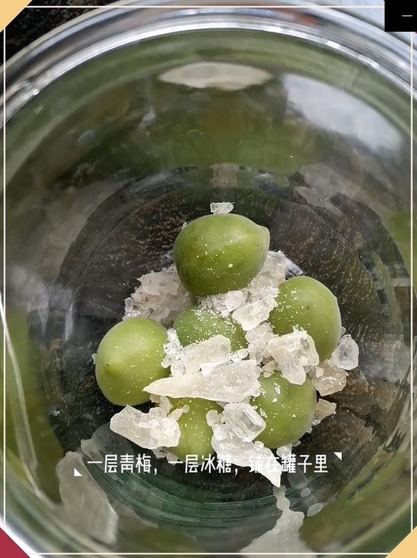 梅子露的做法步骤:5