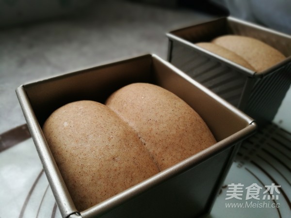 全麦土司面包的做法步骤:12