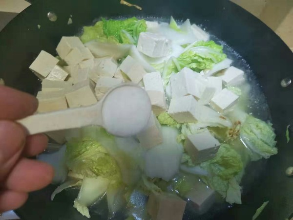 白菜豆腐炖粉条的做法步骤：10