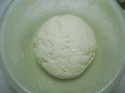 卷心菜鲜肉包子的做法步骤:7