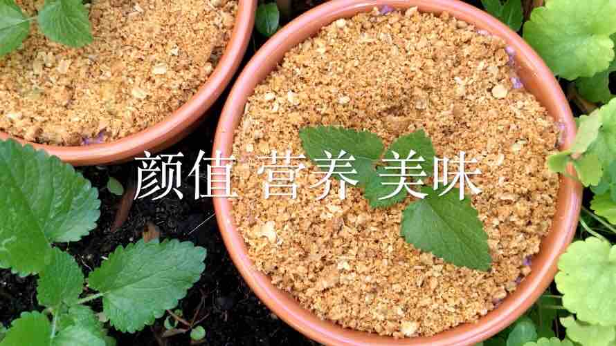 蓝莓牛油果盆栽的做法步骤:5