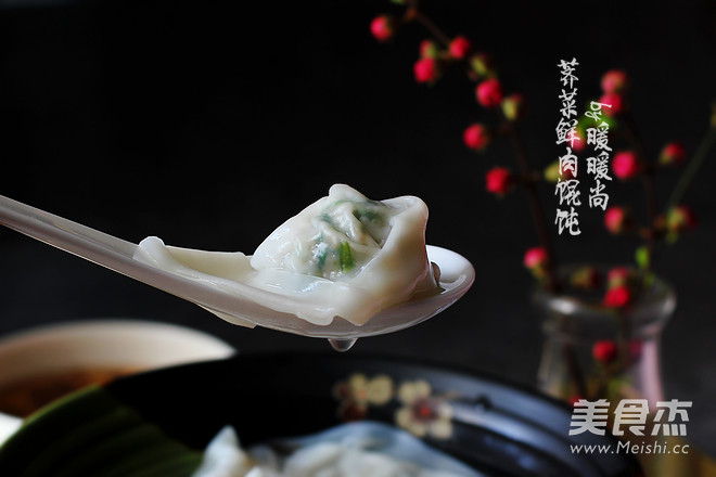 荠菜鲜肉馄饨的做法步骤:11