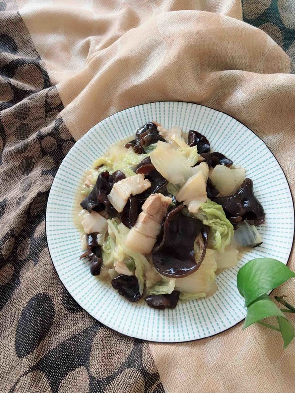 白菜片炒木耳的做法步骤：12