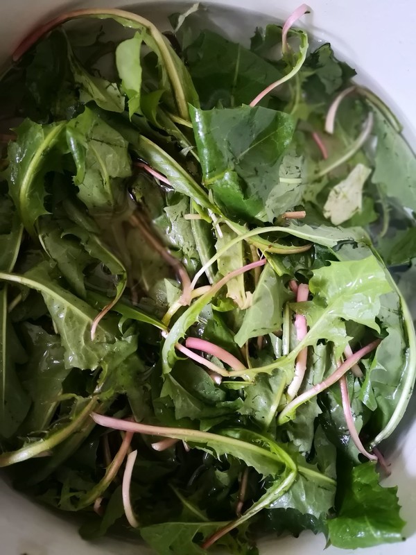 野菜多多一肉酱婆婆丁的做法步骤：1