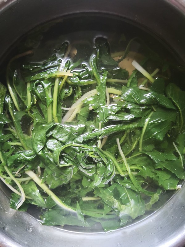野菜多多一肉酱婆婆丁的做法步骤：3
