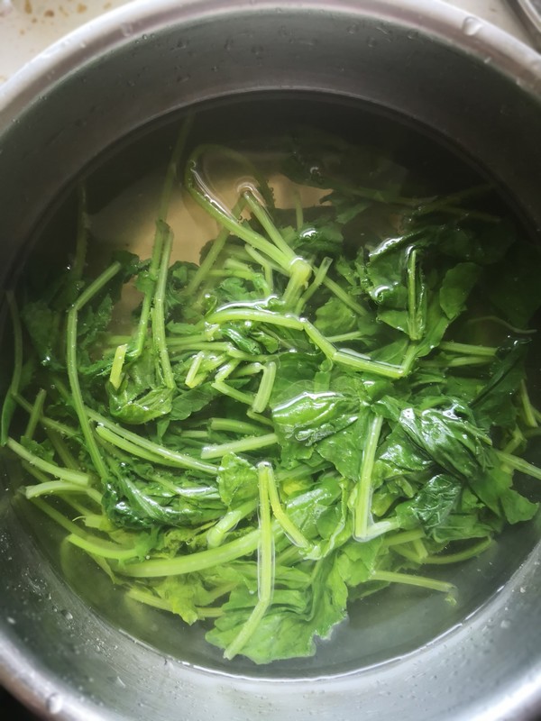 野菜多多一肉酱婆婆丁的做法步骤：4