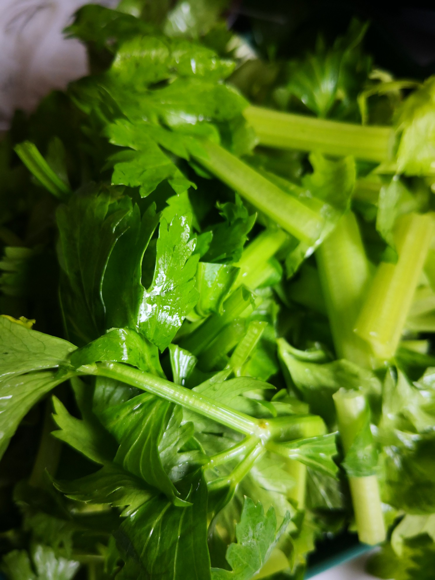 肉馅炒芹菜的做法步骤：1