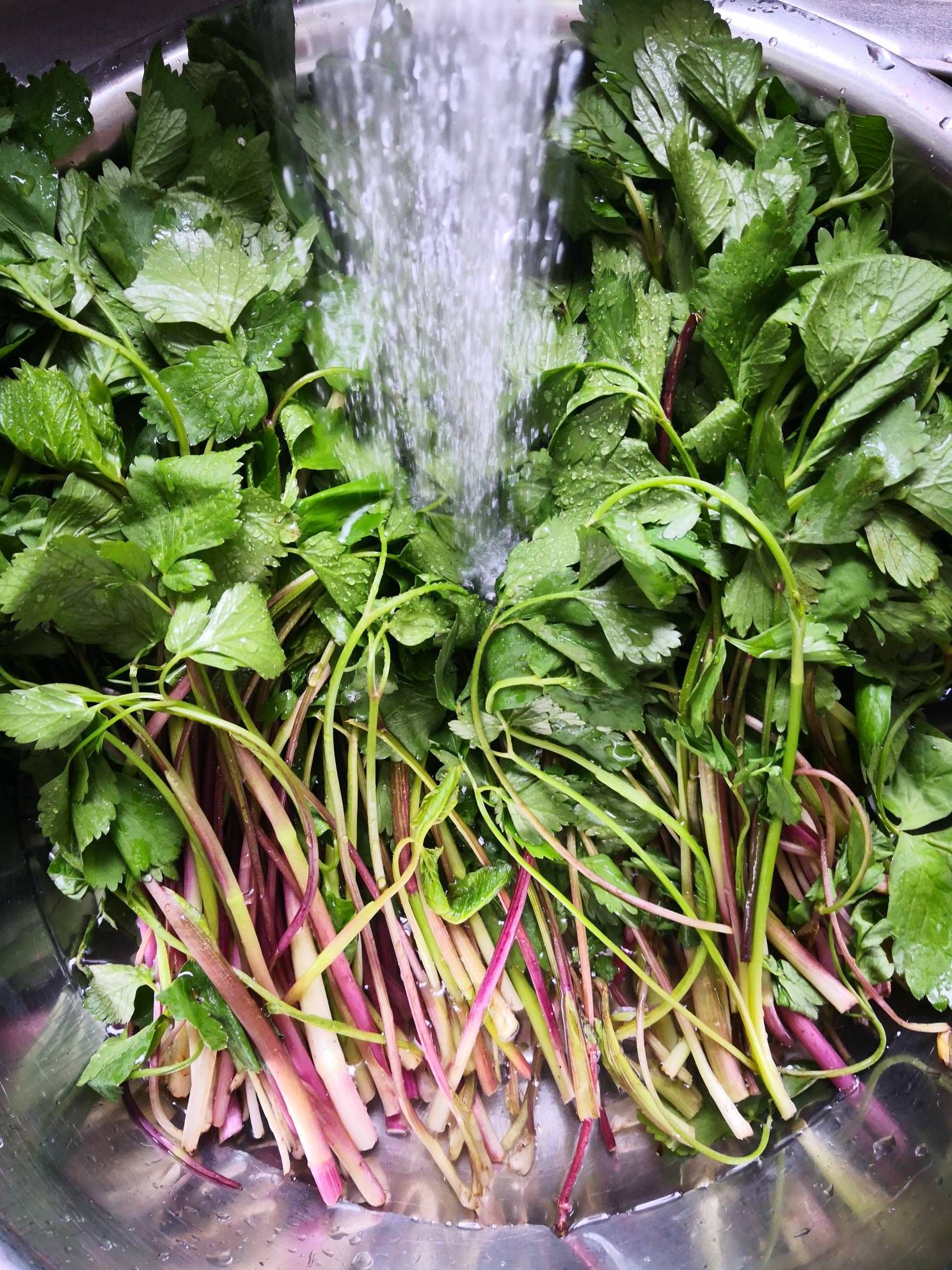 猪肉野菜包子的做法步骤：1