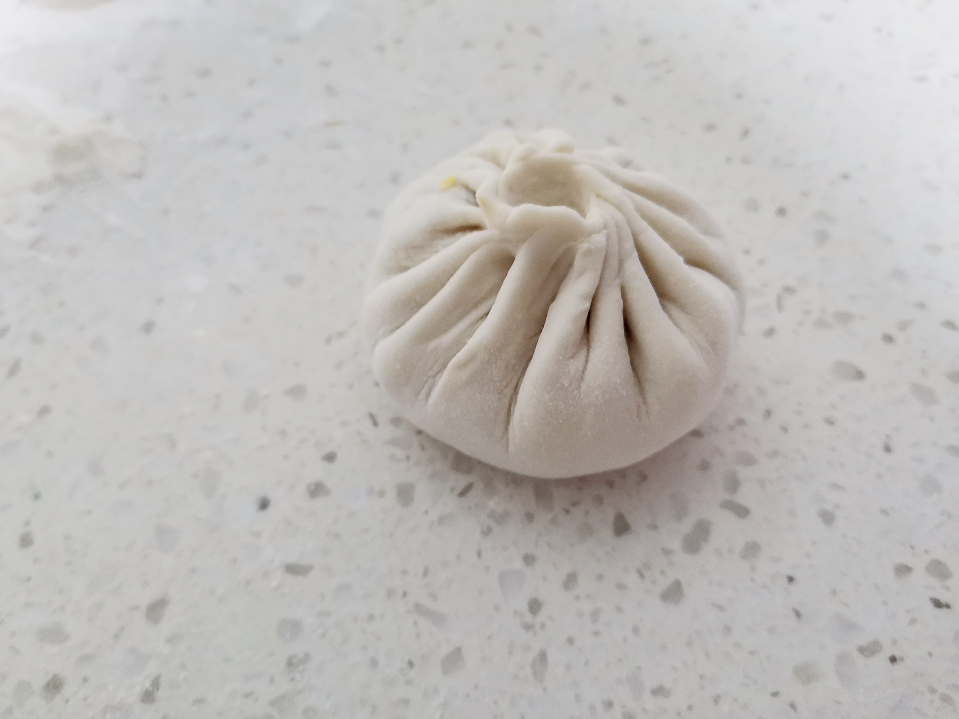 不用发面的包子的做法步骤:9
