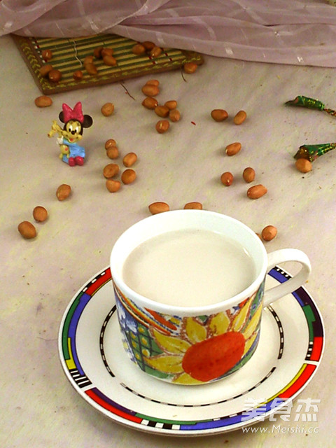 花生豆浆的做法步骤:4