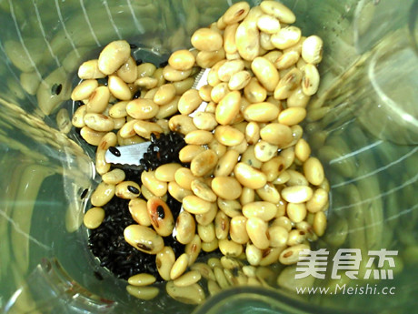 黑米熟豆豆浆的做法步骤:3