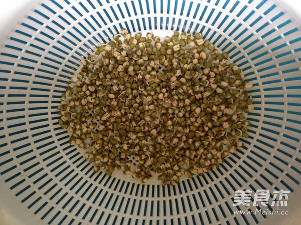 自发绿豆芽的做法步骤：7