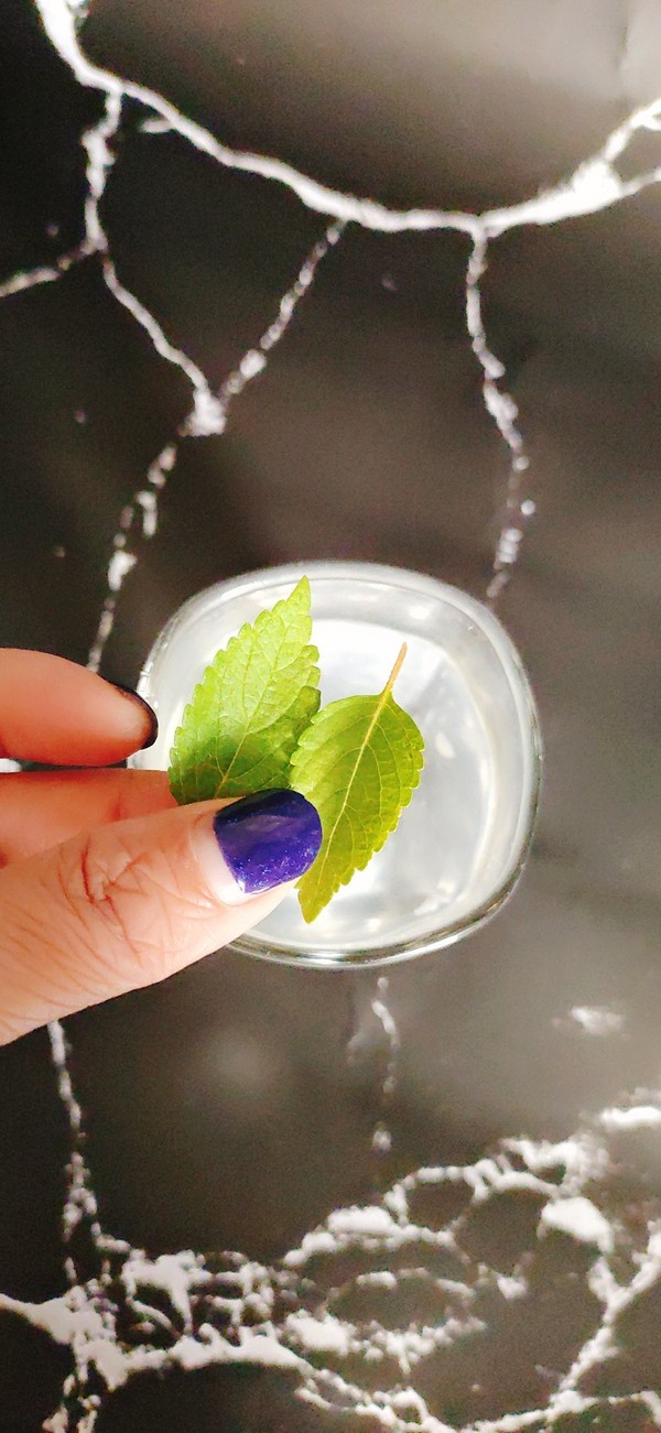 蜂蜜柠檬茶的做法步骤：8
