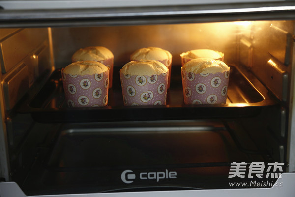 原味戚风纸杯蛋糕的做法步骤:14