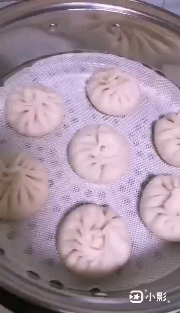 白菜猪肉包的做法步骤：8