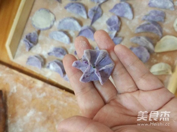 紫甘蓝小饺子的做法步骤:4