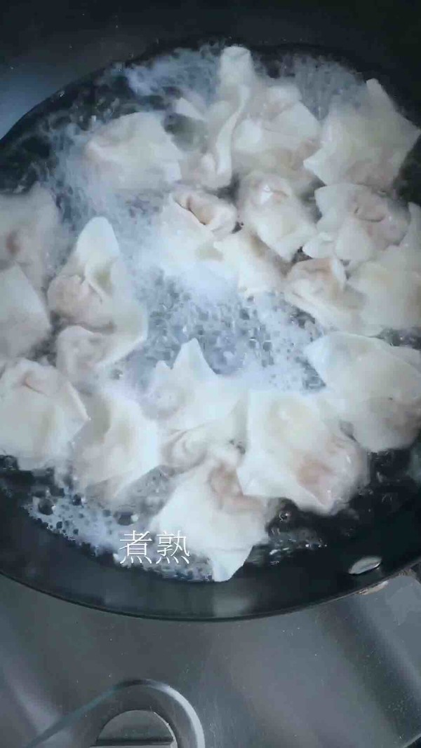 鲜掉眉毛的鲜肉馄饨的做法步骤：4