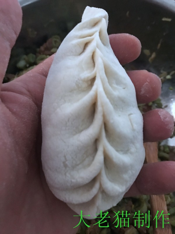 芸豆包子的做法步骤:19