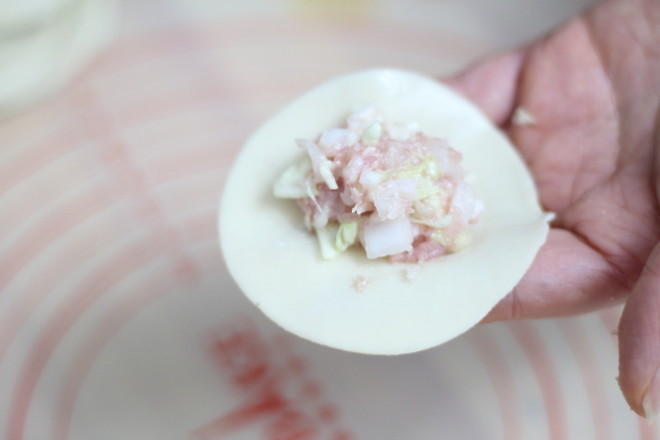 猪肉大白菜馅饺子的做法步骤:5