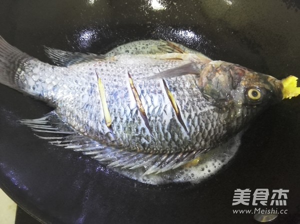 红烧罗非鱼的做法步骤:3