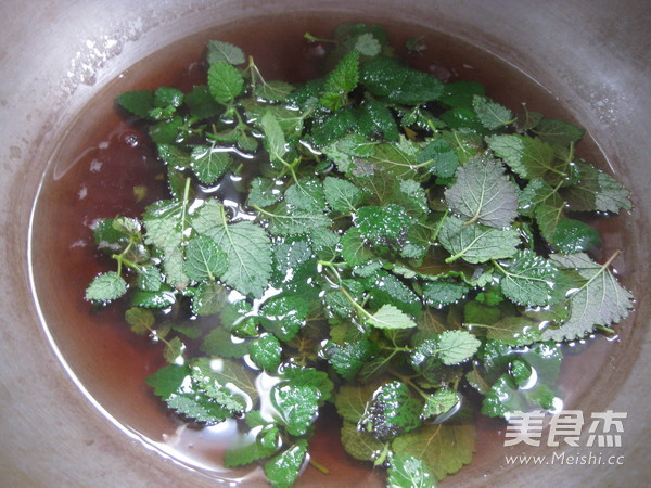 薄荷茶的做法步骤:6